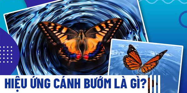 hieu-ung-canh-buom-la-gi-chien-luoc-hieu-ung-canh-buom-trong-marketing